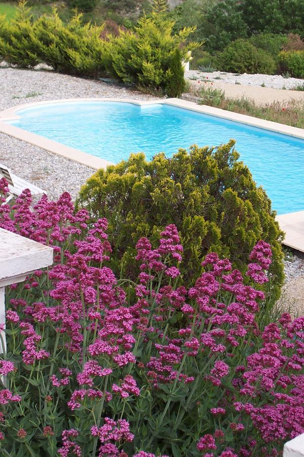 L'Ensoleillee Bed and Breakfast Rosans Exteriör bild